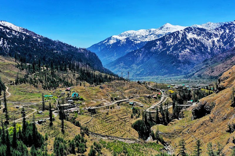 Green pine forest valley near Kullu