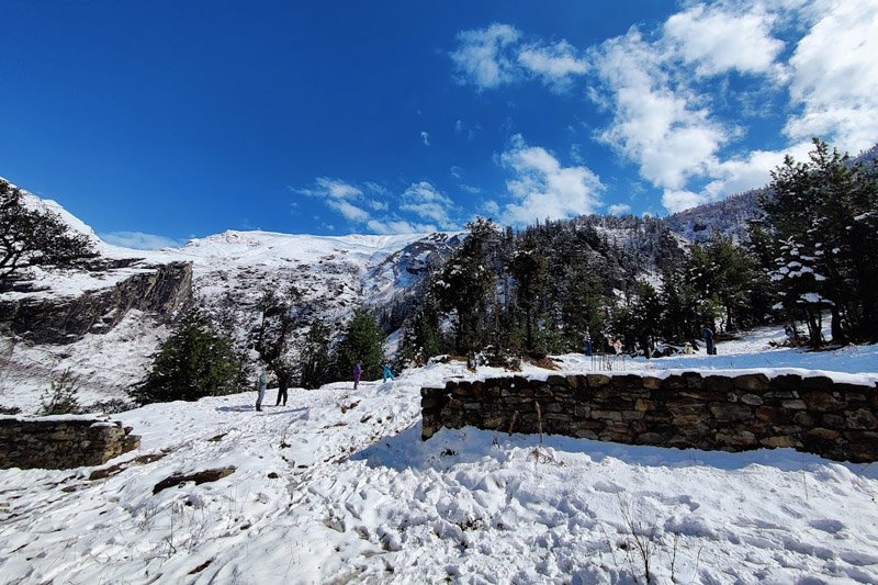 Temple decorated with marigold garlands, Himachal